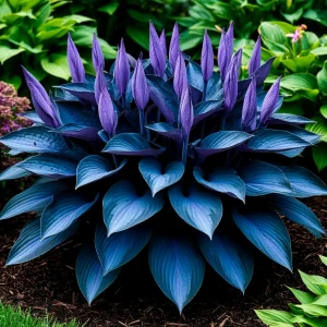 Хоста Сикрет Гров купить по цене от 570р. в интернет-магазине «Посадика» с доставкой почтой в в Буинске и по всей России – [изображение №1].